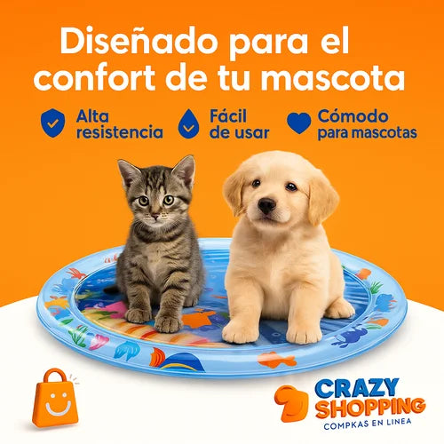 Encabezado
